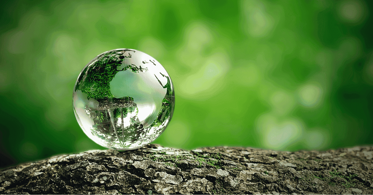 Green earth on a tree demonstrating sustainable transition to renewable solar energy