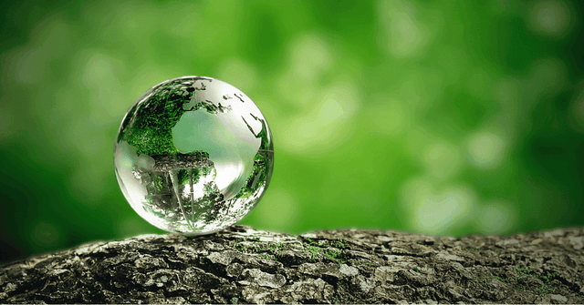 Home solar and the electric future