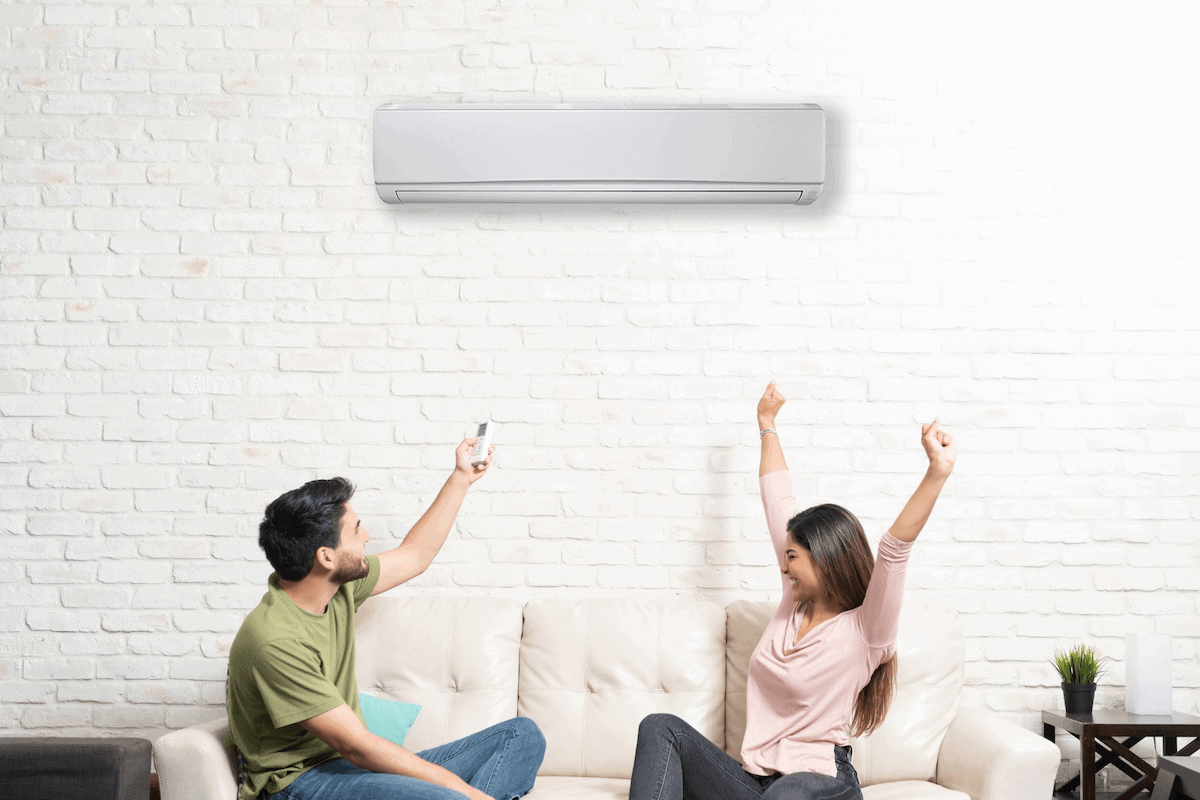 Solar panels and mini split heat pump system bundled together