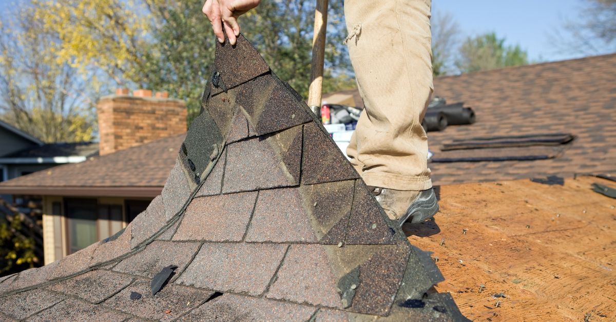 Professional Roofer Peeling the shingles off of a new roof where the warranty was voided because they went with a low level solar installation.